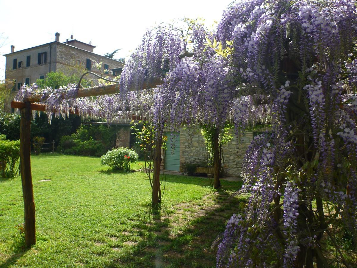 Hotel Bio La Crocetta San Casciano dei Bagni Exterior foto